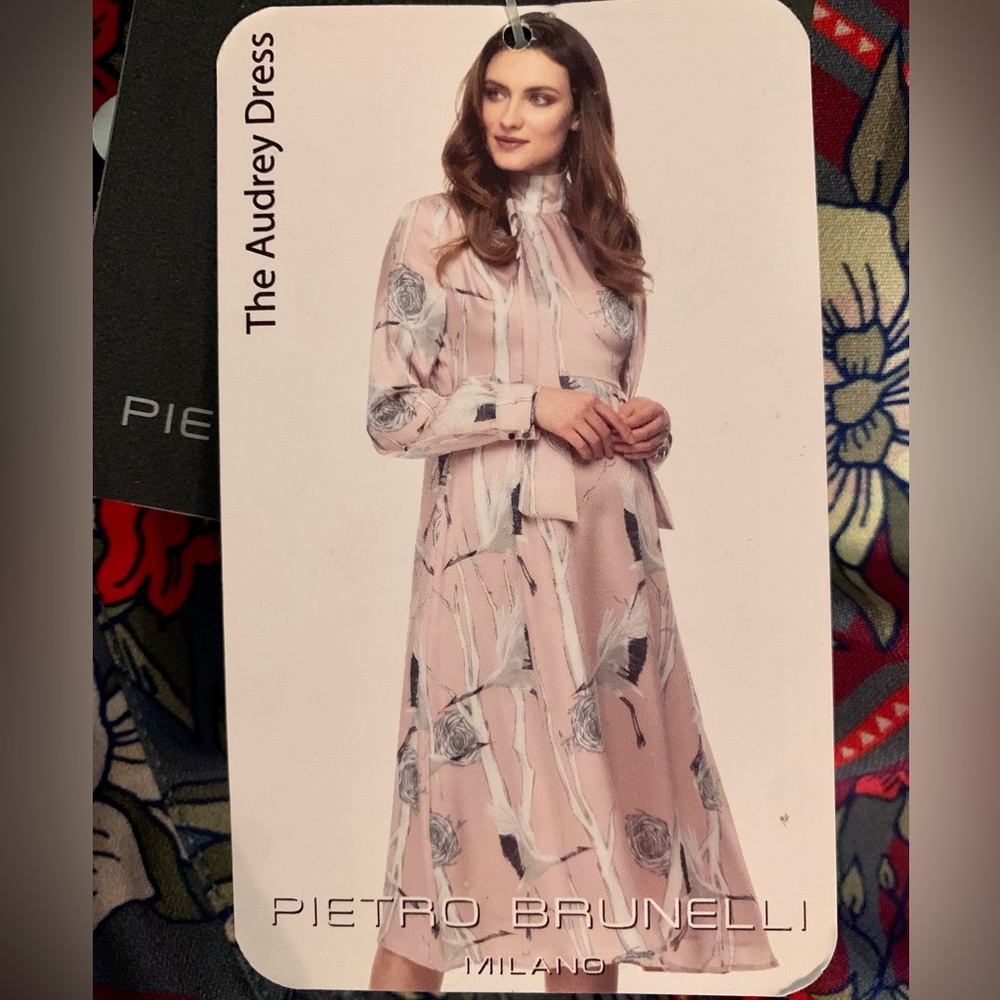 NWT Pierrot Brunelli for Pink Blush gorgeous XS Maternity dress